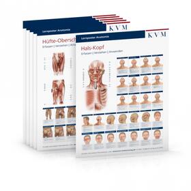  Lernposter Anatomie-Muskulatur | Sonstiges |  Sack Fachmedien