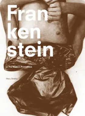 Shelley |  Mary Shelley: Frankenstein or The Modern Prometheus | Buch |  Sack Fachmedien