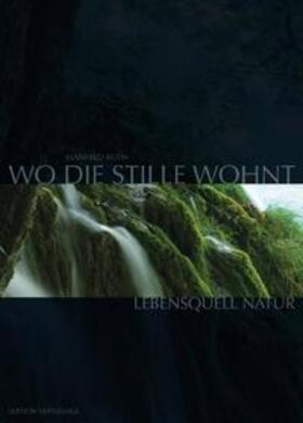 Roth |  Wo die Stille wohnt | Buch |  Sack Fachmedien