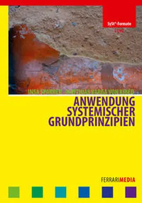 Anwendung systemischer Grundprinzipien | Sonstiges | 978-3-942131-45-2 | sack.de