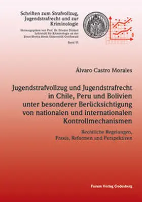 Castro Morales |  Jugendstrafvollzug und Jugendstrafrecht in Chile, Peru und Bolivien unter besonderer Berücksichtigung von nationalen und internationalen Kontrollmechanismen | Buch |  Sack Fachmedien