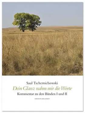 Tschernichowski |  Dein Glanz nahm mir die Worte | Buch |  Sack Fachmedien