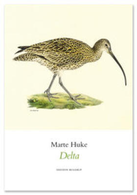 Huke |  Huke, M: Delta | Buch |  Sack Fachmedien