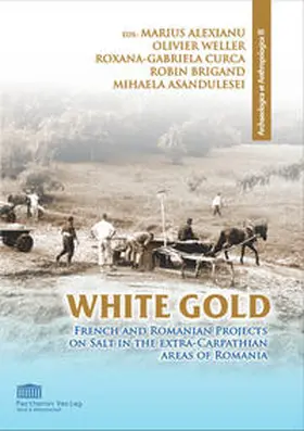 Alexianu / Weller / Curca |  White Gold. French and Romanian Projects on Salt in the Extra-Carpathian Areas of Romania | Buch |  Sack Fachmedien