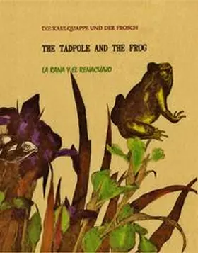 Stevenson / Moreno Sobrino |  THE TADPOLE AND THE FROG/ Die Kaulquappe und der Frosch/ La Rana y el Renacuajo | Buch |  Sack Fachmedien