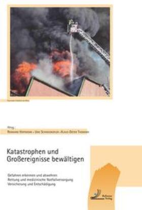 Hoffmann / Schweigkofler / Thomann |  Katastrophen und Großereignisse bewältigen | Buch |  Sack Fachmedien