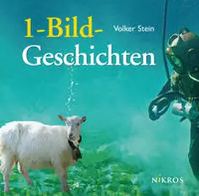 Stein |  1-Bild-Geschichten | Buch |  Sack Fachmedien