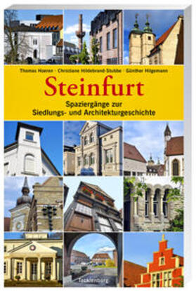 Hoeren / Hildebrand-Stubbe / Hilgemann |  Steinfurt | Buch |  Sack Fachmedien