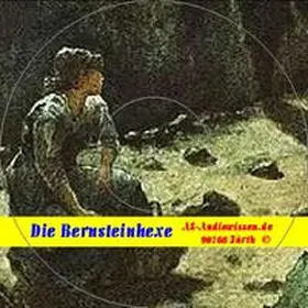 Meinhold / AS-AudioWissen |  Die Bernsteinhexe | Sonstiges |  Sack Fachmedien