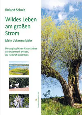 Schulz |  Wildes Leben am großen Strom. Mein Uckermarkjahr | Buch |  Sack Fachmedien