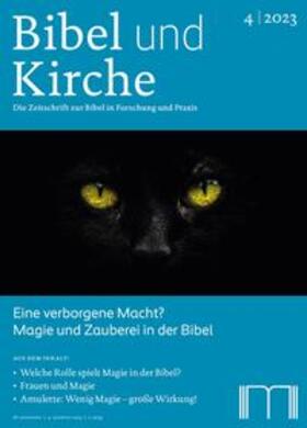 Katholisches Bibelwerk e. V. |  Bibel und Kirche / Eine verborgene Macht? | Buch |  Sack Fachmedien