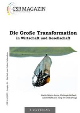 Gibson-Kunze / Golbeck / Smith |  Die Große Transformation in Wirtschaft und Gesellschaft | Buch |  Sack Fachmedien