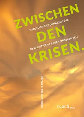 Drube |  Zwischen den Krisen | Buch |  Sack Fachmedien