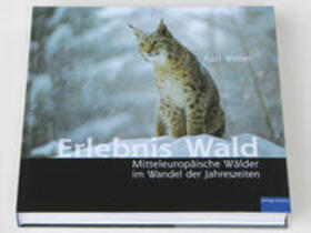 Weber |  Erlebnis Wald | Buch |  Sack Fachmedien