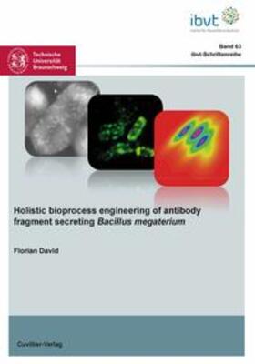 David |  Holistic bioprocess engineering of antibody fragment secreting Bacillus megaterium | Buch |  Sack Fachmedien