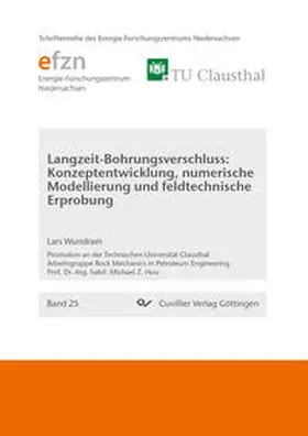 Wundram |  Langzeit-Bohrungsverschluss: Konzeptentwicklung, numerische Modellierung und feldtechnische Erprobung | Buch |  Sack Fachmedien