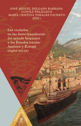 Pelizaeus / Torales Pacheco / Delgado Barrado | Las ciudades en las fases transitorias del mundo hispánico a los Estados nación: América y Europa (siglos XVI-XX) | Buch | 978-3-95487-338-8 | sack.de