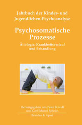 Bründl / Scheidt / Anzieu-Premmereur |  Psychosomatische Prozesse | Buch |  Sack Fachmedien