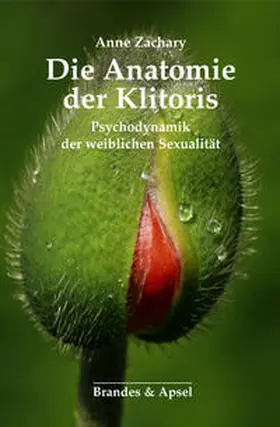 Zachary |  Die Anatomie der Klitoris | Buch |  Sack Fachmedien