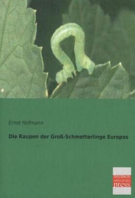 Hofmann |  Die Raupen der Groß-Schmetterlinge Europas | Buch |  Sack Fachmedien