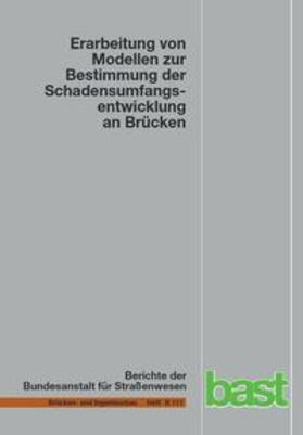Müller |  Erarbeitung von Modellen zur Bestimmung der Schadensumfangsentwicklung an Brücken | Buch |  Sack Fachmedien
