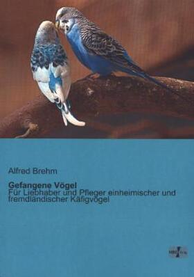 Brehm |  Gefangene Vögel | Buch |  Sack Fachmedien