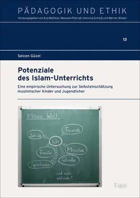 Güzel |  Potenziale des Islam-Unterrichts | Buch |  Sack Fachmedien