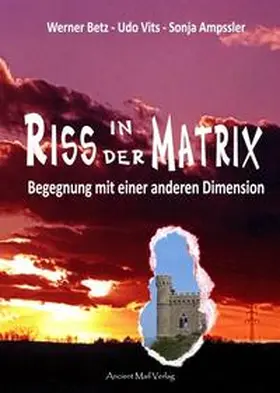 Betz / Vits / Ampssler |  Riss in der Matrix | Buch |  Sack Fachmedien