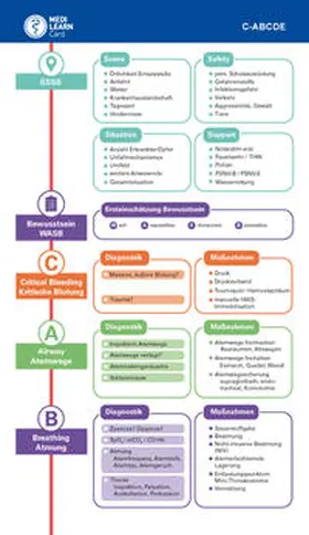 Plappert / Schröder / Karaß |  MEDI-LEARN Card: C-ABCDE | Buch |  Sack Fachmedien