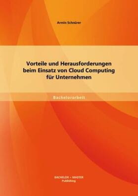 Schnürer |  Vorteile und Herausforderungen beim Einsatz von Cloud Computing für Unternehmen | Buch |  Sack Fachmedien