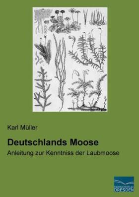 Müller | Deutschlands Moose | Buch | 978-3-95692-139-1 | sack.de