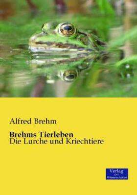 Brehm |  Brehms Tierleben | Buch |  Sack Fachmedien