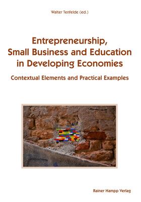 Tenfelde |  Entrepreneurship, Small Business and Education in Developing Economies | eBook | Sack Fachmedien