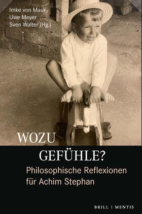 Maur / Meyer / Walter |  Wozu Gefühle? Philosophische Reflexionen für Achim Stephan | Buch |  Sack Fachmedien