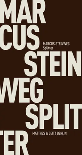 Steinweg |  Splitter | Buch |  Sack Fachmedien