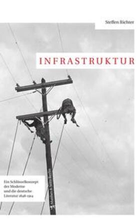 Richter |  Infrastruktur | Buch |  Sack Fachmedien