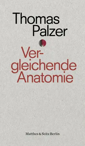 Palzer |  Vergleichende Anatomie | eBook | Sack Fachmedien