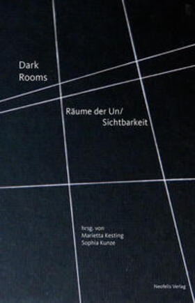 Bergeest / Buurman / Euringer-Bátorová |  Dark Rooms | Buch |  Sack Fachmedien