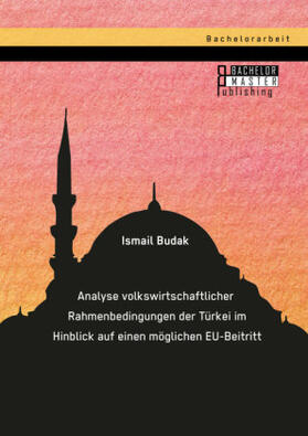 Budak |  Analyse volkswirtschaftlicher Rahmenbedingungen der Türkei im Hinblick auf einen möglichen EU-Beitritt | Buch |  Sack Fachmedien