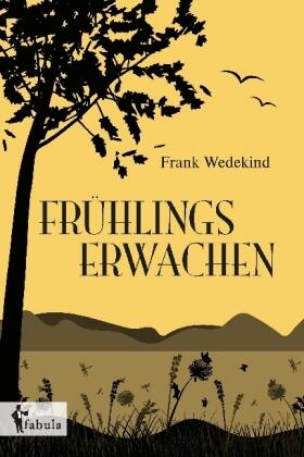 Wedekind |  Frühlings Erwachen | Buch |  Sack Fachmedien