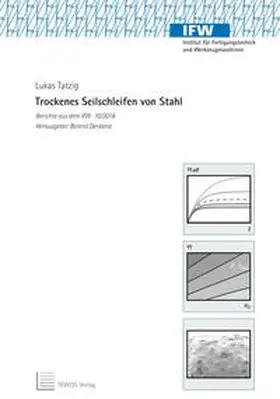 Tatzig |  Trockenes Seilschleifen von Stahl | Buch |  Sack Fachmedien