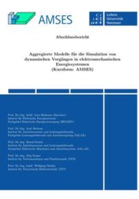 Hofmann / Mertens |  AMSES | Buch |  Sack Fachmedien
