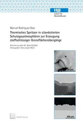 Rodriguez Diaz |  Thermisches Spritzen in silandotierten Schutzgasatmosphären zur Erzeugung stoffschlüssiger Grenzflächenübergänge | Buch |  Sack Fachmedien