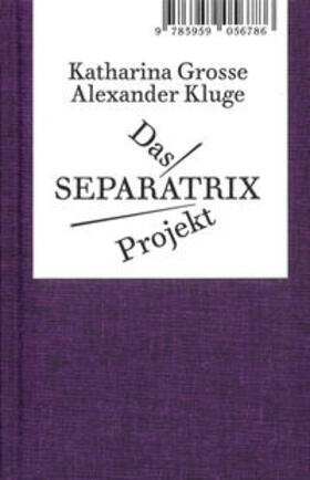 Kluge / Grosse / Elmiger |  Das Separatrix Projekt | Buch |  Sack Fachmedien
