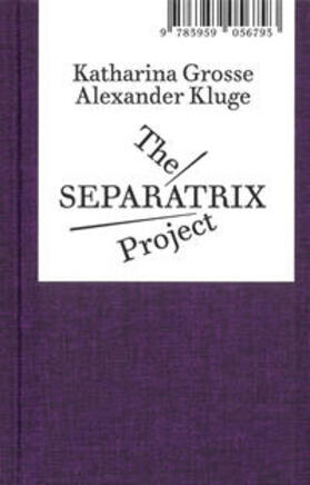 Kluge / Grosse / Elmiger |  The Separatrix Project | Buch |  Sack Fachmedien