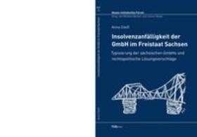 Cleiß |  Insolvenzanfällgkeit der GmbH im Freistaat Sachsen | Buch |  Sack Fachmedien