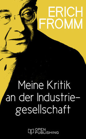 Fromm / Funk |  Meine Kritik an der Industriegesellschaft | eBook | Sack Fachmedien
