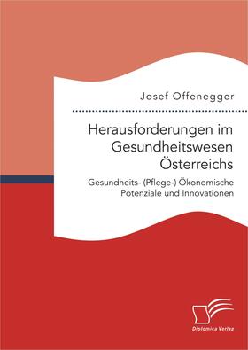 Offenegger |  Herausforderungen im Gesundheitswesen Österreichs. Gesundheits- (Pflege-) Ökonomische Potenziale und Innovationen | Buch |  Sack Fachmedien