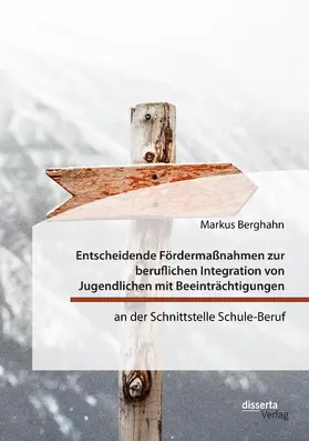 Berghahn |  Entscheidende Fördermaßnahmen zur beruflichen Integration von Jugendlichen mit Beeinträchtigungen an der Schnittstelle Schule-Beruf | Buch |  Sack Fachmedien