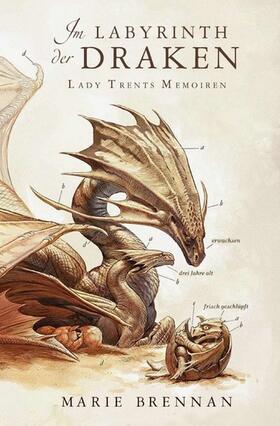 Brennan |  Lady Trents Memoiren 4: Im Labyrinth der Draken | eBook | Sack Fachmedien